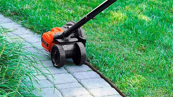 Things-Consider-Buying-Lawn edger