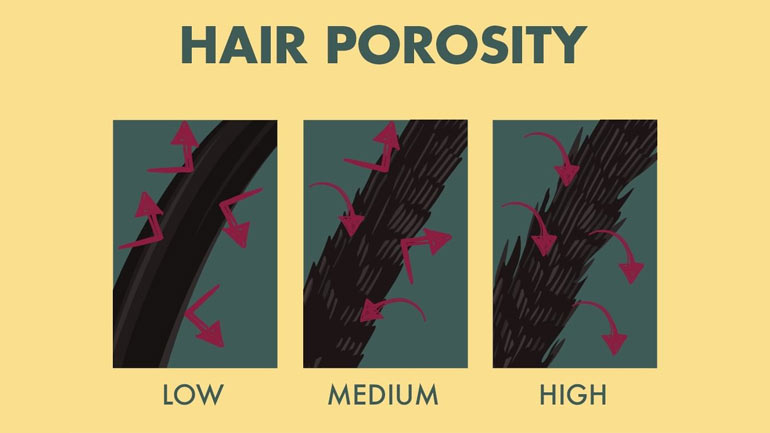 Hair Porosity types treatment test