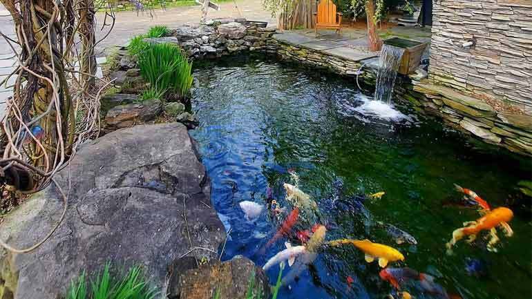 How To Build Your Own Fish Pond That Lasts, How To Build Your Own Garden Fish Pond