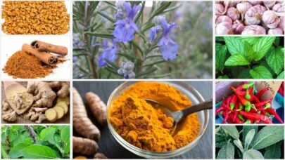 Herbs-Spices-for-Cooking-Use