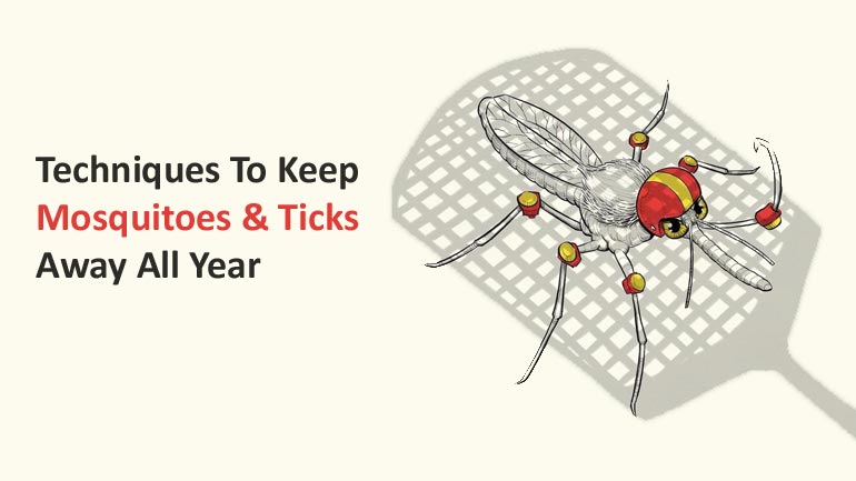 Effective Techniques To Keep Mosquitoes and Ticks Away All Year