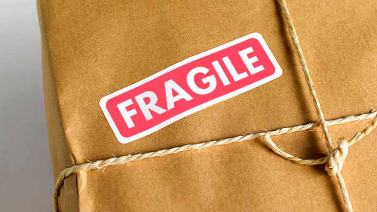 Packing-Fragile-Items
