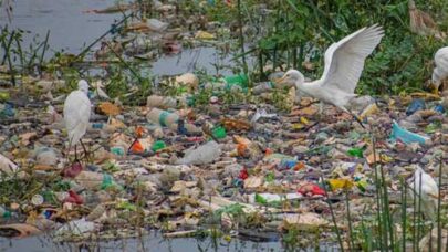 Causes-Water-Pollution