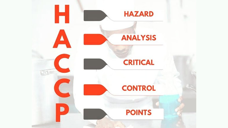 Importance HACCP Certification