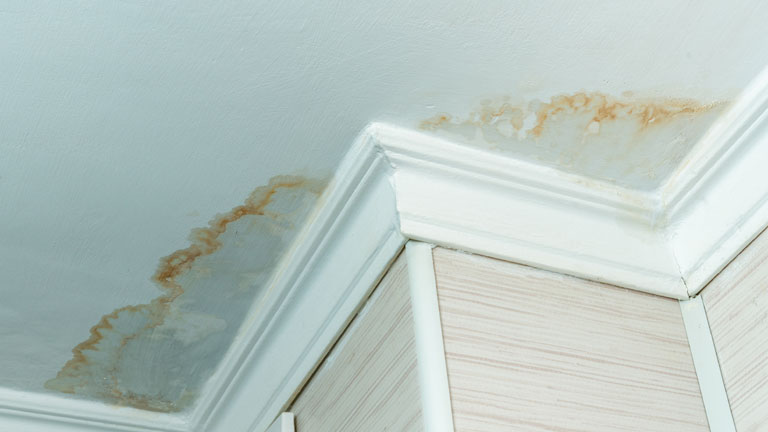 Tips to Avoid Water Damage and How to Fix It