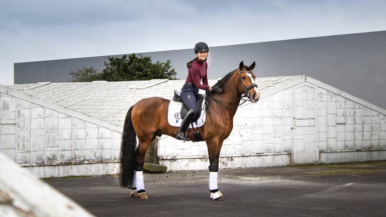 8 Must-Have Horse Riding Accessories and Gears