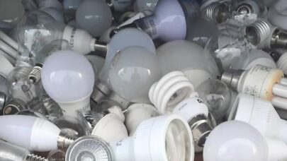 Lightbulb Recycling