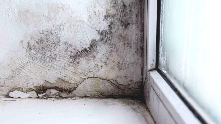Prevent Home Water Damage
