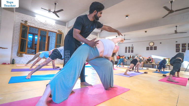 Become Certified Yoga Teacher