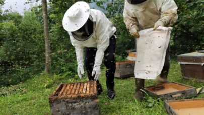 Benefits of Beekeeping