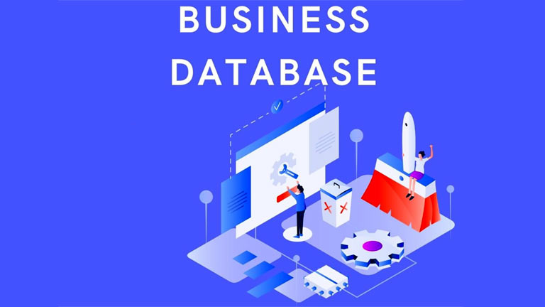 Data for Business Success