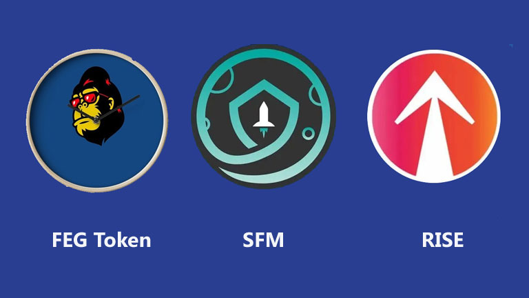 FEG Token vs SFM and RISE