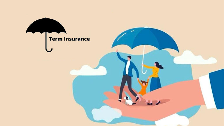 Ideal Time Get Term Insurance