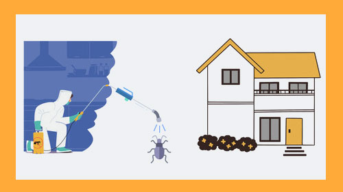 Strategies Control home Pests