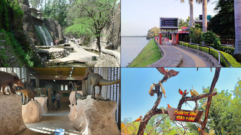 Places to Go and Explore in Chandigarh
