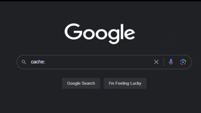 How check webpage cache history
