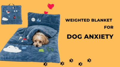 Weighted Blankets for Dogs Anxiety