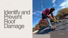 Identify Prevent Costly Roof Damage