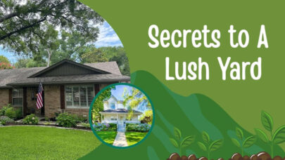 Secrets Lush Yard Green Lawn