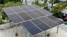 Government Solar Subsidy Boosts Renewable