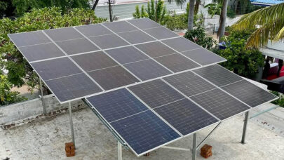 Government Solar Subsidy Boosts Renewable