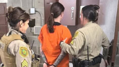 Understanding Legal Definition Felony