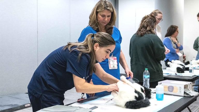 ROI of Hiring Veterinary Consultant