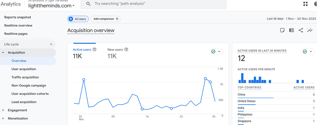 Google Analytics Traffic