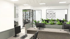 Modern Office Interiors