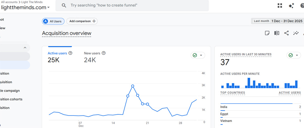 Light The Minds Google Analytics Traffic