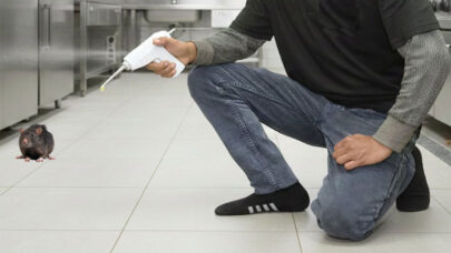 Rodent Control Risks