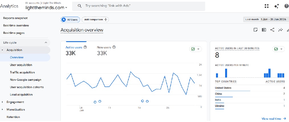 Light The Minds Google Analytics Traffic