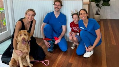 Client Education Animal Hospitals