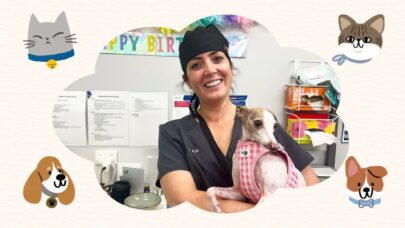 Differentiate Veterinary Clinics