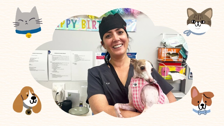 4 Services that Differentiate Veterinary Clinics from Other Facilities