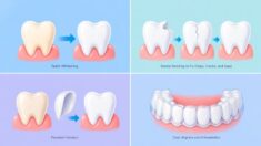 Transform Smiles across Generations