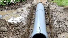 Drain Line Maintenance