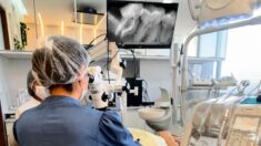 Endodontic Surgery