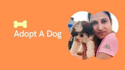 adopt a dog when money tight