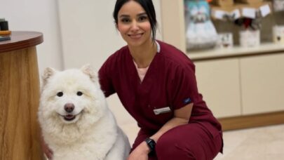 Advantages Checkups at Animal Hospitals
