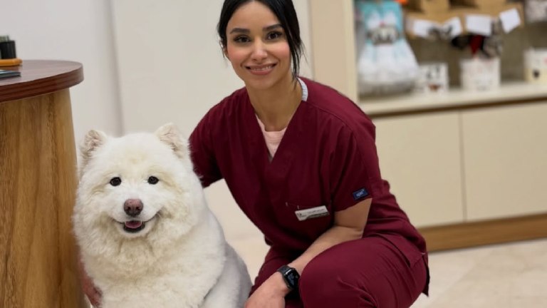 Advantages Checkups at Animal Hospitals