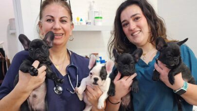Pediatric Pet Care in Veterinary Clinics
