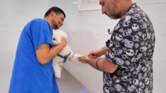 Preoperative Bloodwork Before Surgery