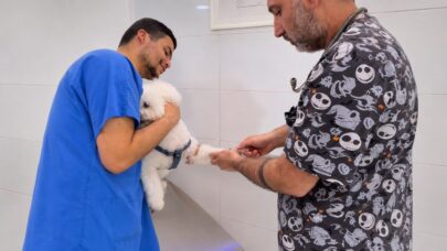 Preoperative Bloodwork Before Surgery