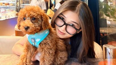 Veterinary Clinics Stress-Free Environments