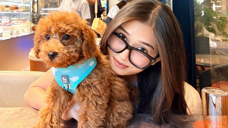 Veterinary Clinics Stress-Free Environments