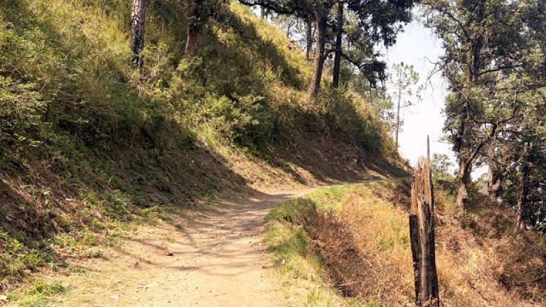 gilbert trails kasauli