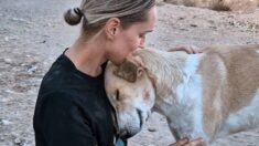 Animal Rescue Organizations