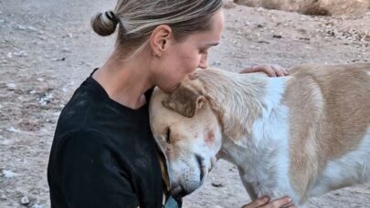 Animal Rescue Organizations
