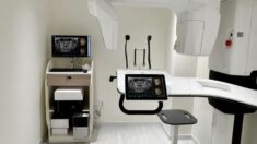 Importance Of Dental X-Rays